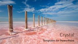  Presentation with minimalistic - PPT theme with miracle-of-nature-real-pink background and a coral colored foreground