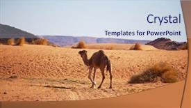  Presentation with mirage - Theme having mirage - camel at sunset background and a sky blue colored foreground