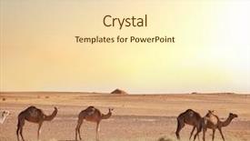  Presentation with mirage - Presentation design having mirage - camels in desert sudan background and a cream colored foreground