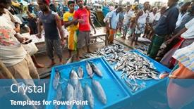  Presentation with tsunami - Presentation theme featuring mirissa-sri-lanka-april-10 background and a teal colored foreground