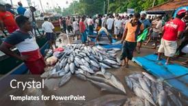  Presentation with tsunami - Colorful slide deck enhanced with mirissa-sri-lanka-april-10 backdrop and a dark gray colored foreground