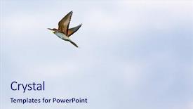  Presentation with missile - Cool new PPT theme with missile target - flying bee-eater merops apiaster backdrop and a sky blue colored foreground