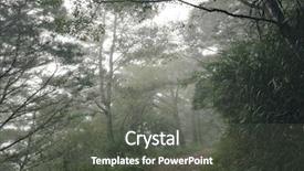  Presentation with dark forest landscape - Amazing PPT layouts having mist and nobody on path backdrop and a  colored foreground