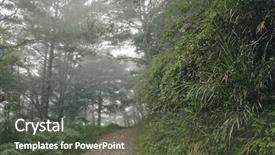  Presentation with dark forest landscape - PPT theme consisting of mist and nobody on path background and a dark gray colored foreground