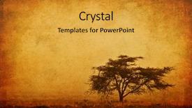  Presentation with autumn morning - PPT theme having mist grunge background nature background and a gold colored foreground