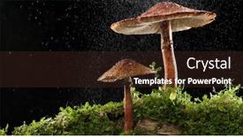  Presentation with water drops - Slide set featuring mist-of-water-drops background and a wine colored foreground