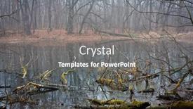  Presentation with autumn - Amazing PPT theme having mist-over-bog-autumn-landscape backdrop and a gray colored foreground