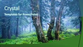  Presentation with forest - Beautiful theme featuring mistery landscape in green forest backdrop and a  colored foreground