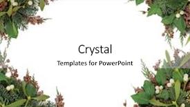  Presentation with winter border - Amazing presentation having mistletoe background border with winter greenery of ivy blue spruce and cedar cypress leyland leaves with pine cones over white backdrop and a white colored foreground