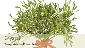  Presentation with festive season - PPT theme featuring mistletoe-bunch-for-the-festive background and a soft green colored foreground
