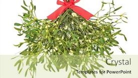  Presentation with album - Slide set enhanced with mistletoe bunch tied with a red ribbon on white background traditional symbol for christmas and winter time album viscum background and a soft green colored foreground