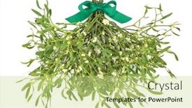  Presentation with album - Presentation consisting of mistletoe bunch tied with a green ribbon on white background traditional symbol for christmas and winter time album viscum background and a mint green colored foreground