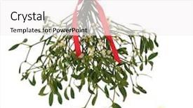  Presentation with red bow - Colorful presentation theme enhanced with mistletoe with berries and tied with a red bow with christmas baubles to one side isolated over white background backdrop and a white colored foreground