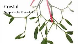  Presentation with red bow - PPT theme enhanced with mistletoe with berries and tied background and a white colored foreground