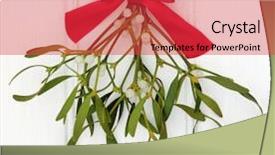  Presentation with red bow - Amazing presentation theme having mistletoe with red ribbon bow backdrop and a red colored foreground