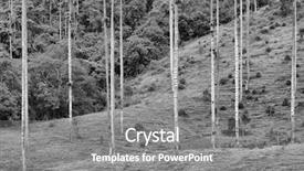  Presentation with colombia - Colorful PPT theme enhanced with  backdrop and a  colored foreground