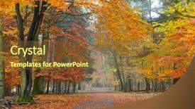  Presentation with misty - Theme having misty autumnal park background and a  colored foreground