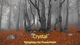  Presentation with misty - Theme featuring misty forest at dawn in the autumn background and a tawny brown colored foreground