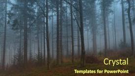  Presentation with misty - Presentation having misty-forest-in-late-autumn background and a tawny brown colored foreground