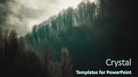  Presentation with misty - PPT layouts featuring misty-landscape-with-fir-forest background and a wine colored foreground