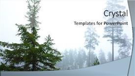  Presentation with october - Cool new theme with misty mid october coniferous forest backdrop and a white colored foreground