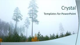  Presentation with trees forest lumber - PPT layouts enhanced with misty mid october coniferous forest background and a cool aqua colored foreground