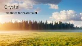  Presentation with filtered sunlight path - Audience pleasing PPT layouts consisting of misty-morning-pasture backdrop and a light blue colored foreground