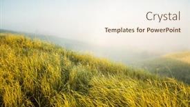  Presentation with green morning - Slide set consisting of misty-morning-pasture background and a cream colored foreground