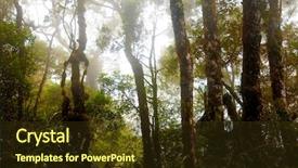  Presentation with mount kinabalu - Colorful PPT theme enhanced with misty mountain forest of mount kinabalu malaysia in north borneo backdrop and a tawny brown colored foreground