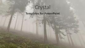  Presentation with pine forest - Presentation enhanced with misty-mountain-pine-forest and a light gray colored foreground