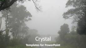  Presentation with rainy day - Colorful theme enhanced with hand holding smartphone showing against two smiling women wearing pink for breast cancer backdrop and a soft green colored foreground