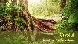  Presentation with enchanted forest - Slides having misty old forest background and a tawny brown colored foreground