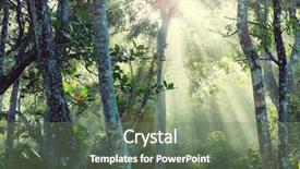  Presentation with costa rica - Presentation theme featuring misty rainforest in costa rica background and a gray colored foreground