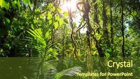  Presentation with costa rica - Presentation theme having misty rainforest in costa rica background and a tawny brown colored foreground