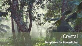  Presentation with misty - Cool new presentation with misty rainforest in costa rica backdrop and a seafoam green colored foreground