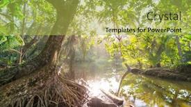  Presentation with costa rica - Slide deck consisting of misty-rainforest-in-costa-rica background and a yellow colored foreground