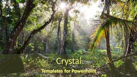  Presentation with misty - Slide set having misty-rainforest-in-costa-rica background and a tawny brown colored foreground