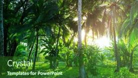  Presentation with misty - Theme with misty-rainforest-in-costa-rica background and a forest green colored foreground
