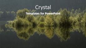  Presentation with summer trees - Presentation theme having misty-summer-atmosphere-at-flooded background and a dark gray colored foreground