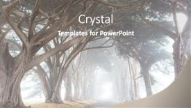  Presentation with misty - Colorful presentation design enhanced with misty trees alley in foggy weather backdrop and a gray colored foreground