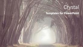  Presentation with misty - Presentation theme featuring misty trees alley in foggy weather background and a gray colored foreground