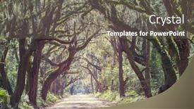  Presentation with misty - Audience pleasing PPT theme consisting of misty trees alley in foggy weather backdrop and a gray colored foreground