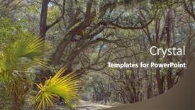  Presentation with misty - Colorful presentation enhanced with misty trees alley in foggy weather backdrop and a tawny brown colored foreground