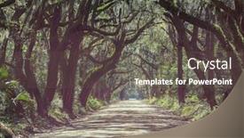  Presentation with misty - Slide set having misty-trees-alley-in-foggy background and a dark gray colored foreground