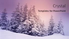  Presentation with misty - Beautiful presentation design featuring misty-winter-landscape-with-snowy backdrop and a coral colored foreground