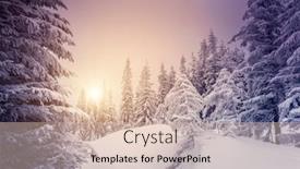  Presentation with misty - Presentation design having misty-winter-landscape-with-snowy background and a lemonade colored foreground