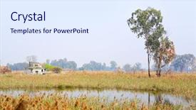  Presentation with wetland - Slides with mitigation - wetland background and a sky blue colored foreground