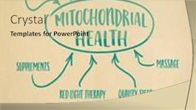  Presentation with mind - PPT theme enhanced with mitochondrial-health-concept-mind-map background and a lemonade colored foreground