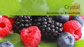  Presentation with mint - Presentation featuring mix-berries-with-leaf background and a yellow colored foreground