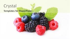  Presentation with mint - Cool new presentation design with mix-berries-with-leaf backdrop and a blonde colored foreground